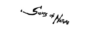 Sights of Nature Deputter